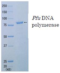 02-021-5_Fig1