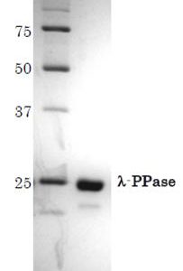 02-300_Fig1