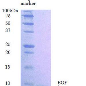 03-001_Fig1