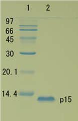 05-007_Fig1