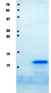 05-013-fig1