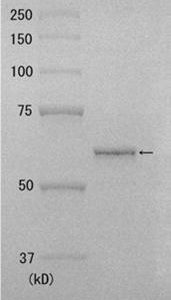 10-105_Fig1