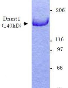 10-201_Fig1