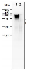 65-358-fig1