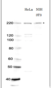 70-230-fig1