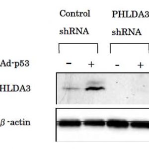 71-195_Fig1