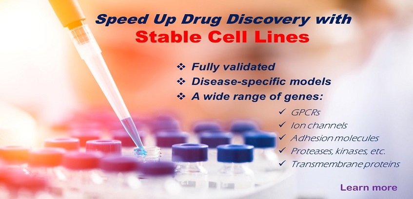 stable cell lines