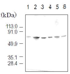 70-325_Fig1