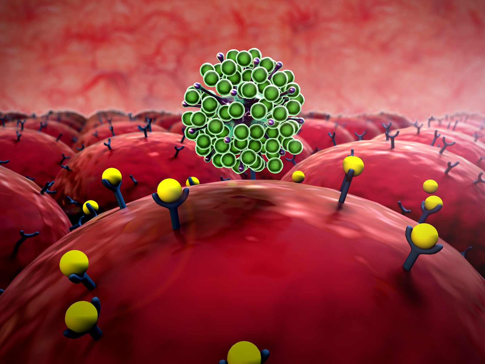 Signal Transduction