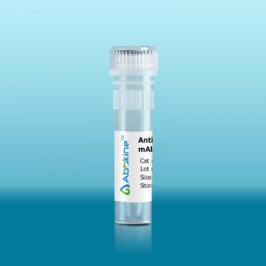 AMPKα1/2 (phospho Thr183/172) Polyclonal Antibody 1 AMPKα1/2 (phospho Thr183/172) Polyclonal Antibody
