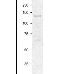 81-039-2