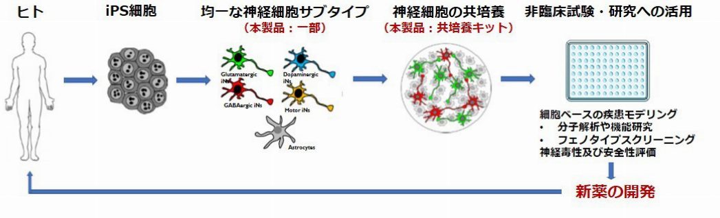 Neucyte1