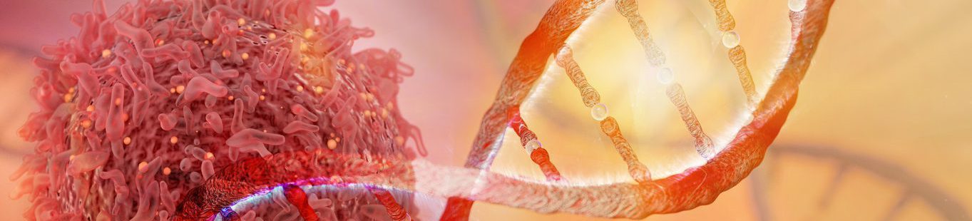 DNA strand and Cancer Cell