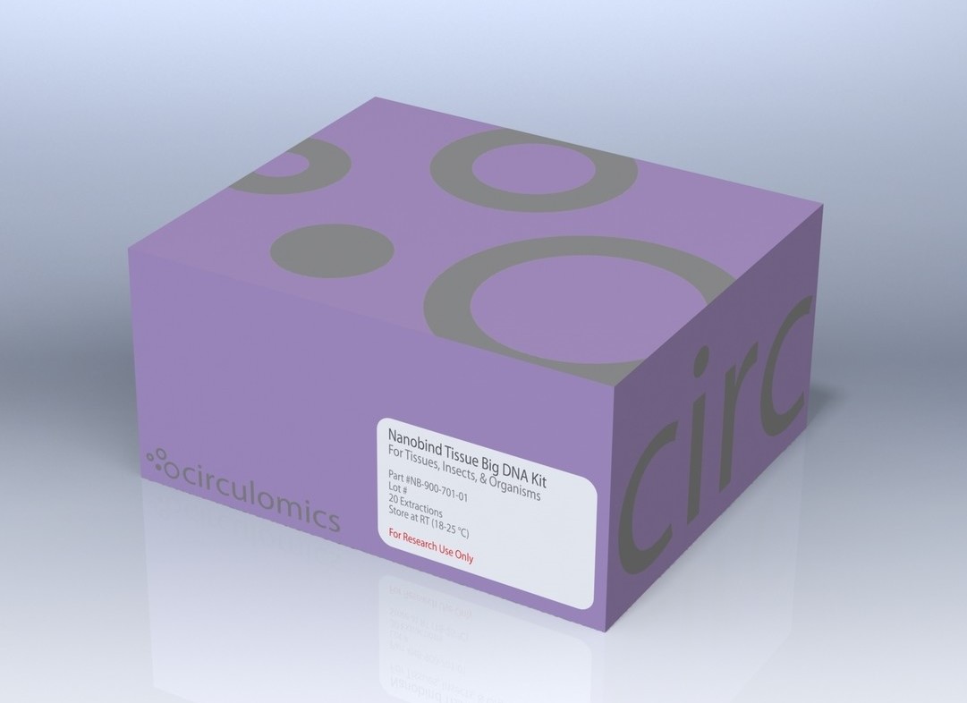 Tissue_box pic2