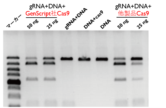 cas9 fig1