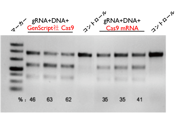 cas9 fig2